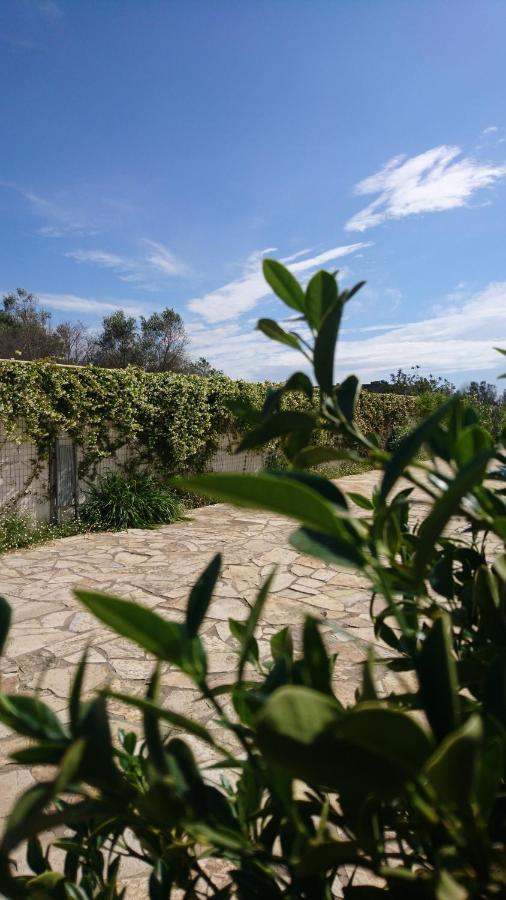 Stella Dei Campi ξενώνας Sternatia Εξωτερικό φωτογραφία