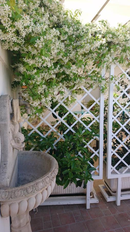Stella Dei Campi ξενώνας Sternatia Εξωτερικό φωτογραφία
